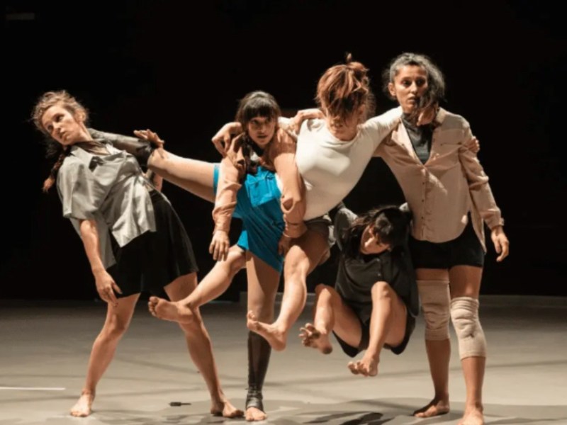 Rara Avis: Una celebració de la singularitat a través del&nbsp;circ